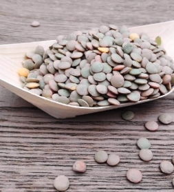 Lentils, green 25 kg, organic