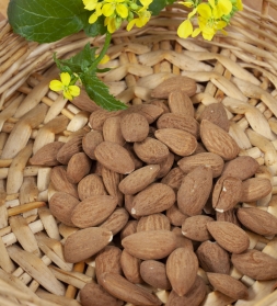 Almonds 25kg, organic